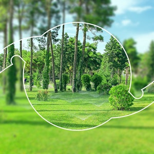 Jardin avec des arbres et des buissons ; l’image est trouble sur les bords et nette au centre